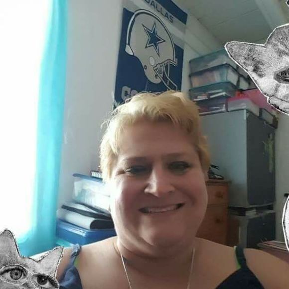 lisarea